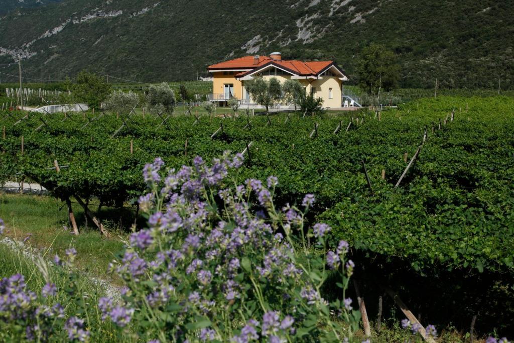Appartamenti Al Vigneto Dro Exteriér fotografie